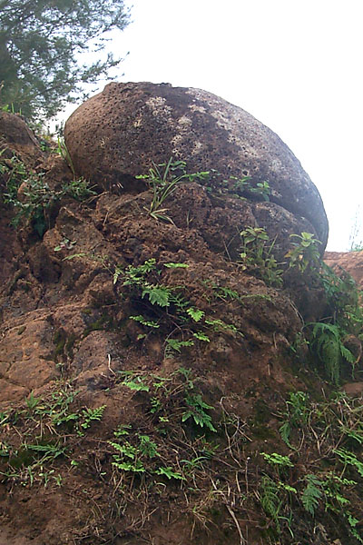 2000-02-13_kauai/kalalau/16-eggrock.jpg