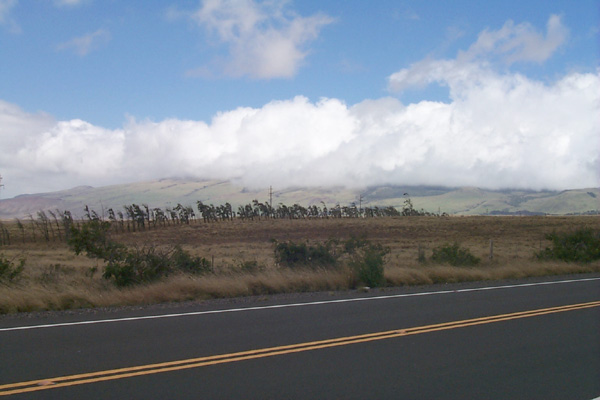trips/2001-03_hawaii/2001-03-16/P0002293.jpg