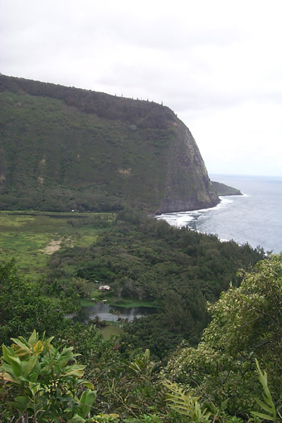 trips/2001-03_hawaii/2001-03-16/P0002305.jpg