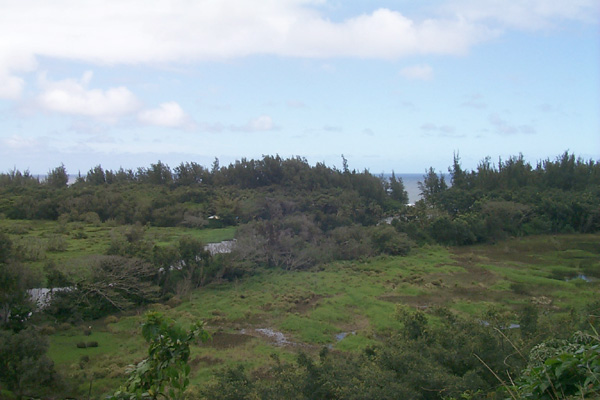 trips/2001-03_hawaii/2001-03-16/P0002307.jpg