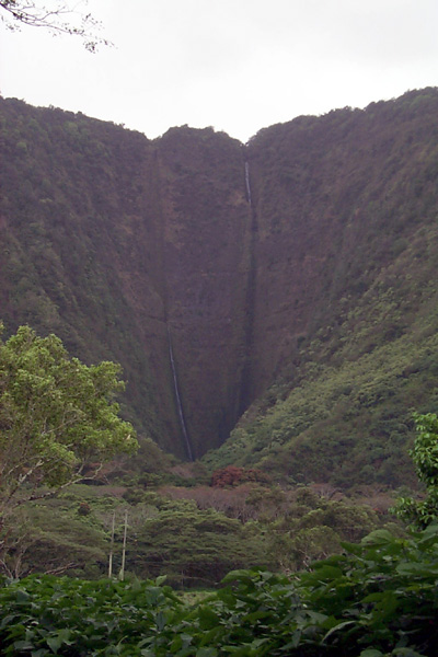 trips/2001-03_hawaii/2001-03-16/P0002313.jpg