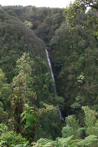 trips/2001-03_hawaii/2001-03-16/P0002321.jpg