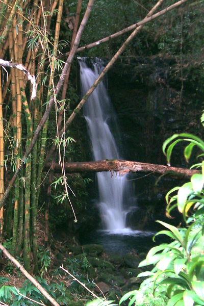 trips/2001-03_hawaii/2001-03-16/P0002335.jpg