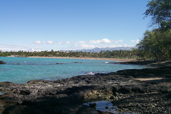 trips/2001-03_hawaii/2001-03-19/P0002352.jpg