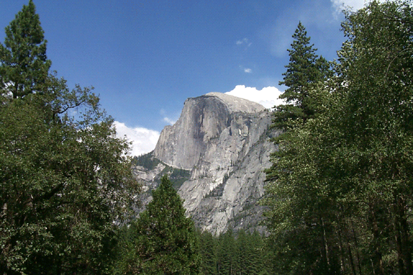 trips/2001-07_yosemite-benton/P0002863.gif