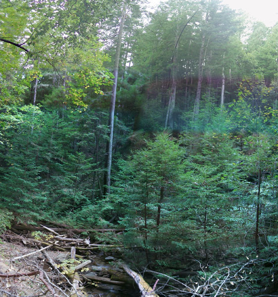 trips/2001-09-30_fallcreek/pano.jpg