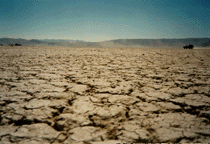 [Playa-JD]