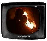 [Burning Man: World On Fire Quicktime]