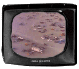 [Burning Man Fly-By Quicktime]