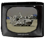[Burning Man SharkCar Quicktime]
